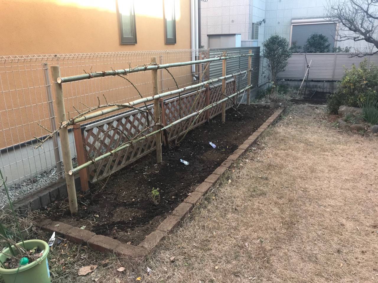 バラの剪定・布掛け支柱設置