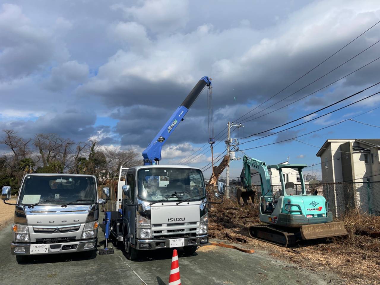 伐採木の積込み