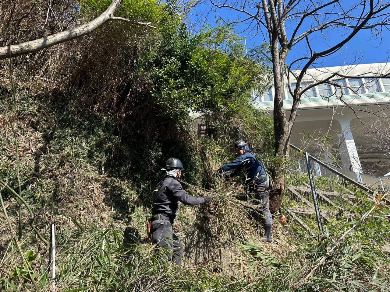作業ゴミの搬出状況