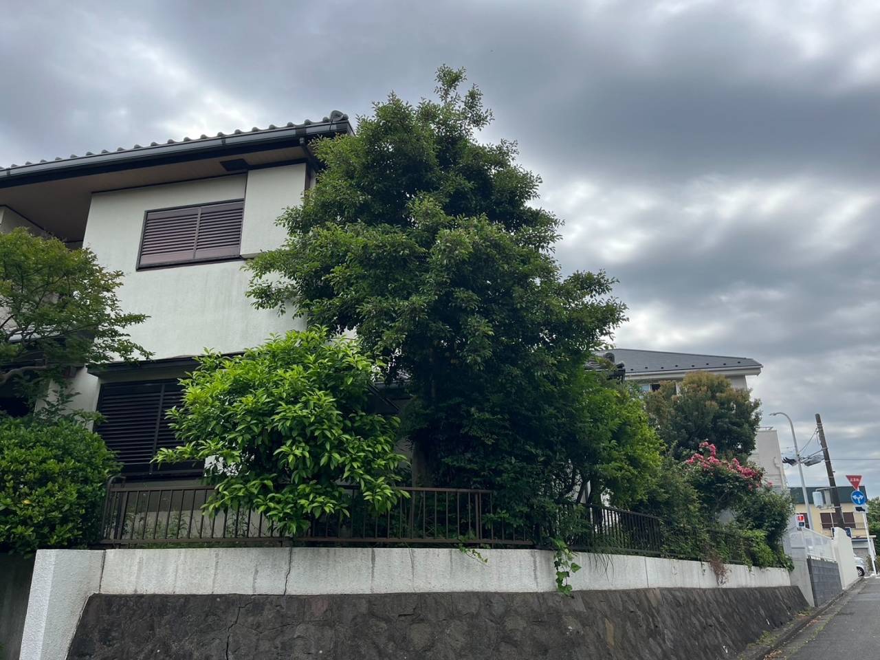 施工実績紹介No.175【横浜市港南区日限山】空家の除草・樹木をすべて伐採作業|放置リスクを解消し管理しやすい敷地へ