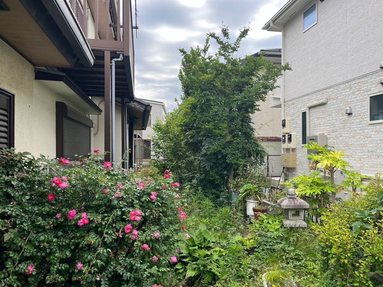 施工実績紹介No.176【横浜市港南区日限山】空家の除草・樹木をすべて伐採作業|放置リスクを解消し管理しやすい敷地へ