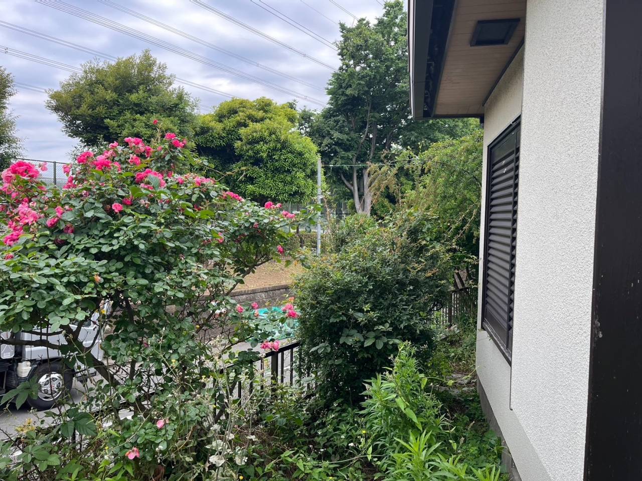 施工実績紹介No.174【横浜市港南区日限山】空家の除草・樹木をすべて伐採作業|放置リスクを解消し管理しやすい敷地へ